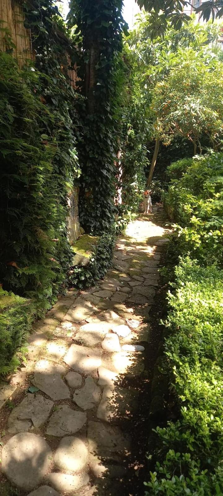 L'Antica Dimora Villa Meta Exterior foto